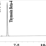 Chromatogram thumbnail